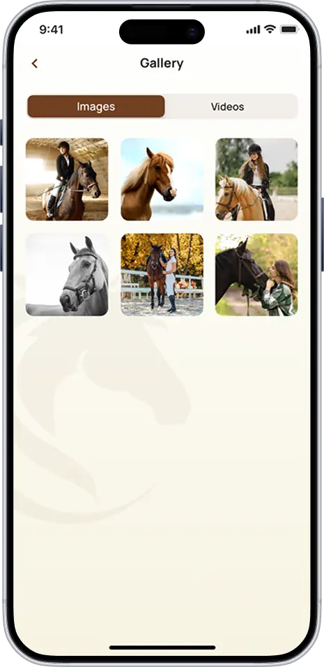Best Horse gallery